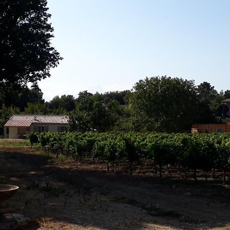 La Petite Maison Dans Les Vignes Chamaret Экстерьер фото