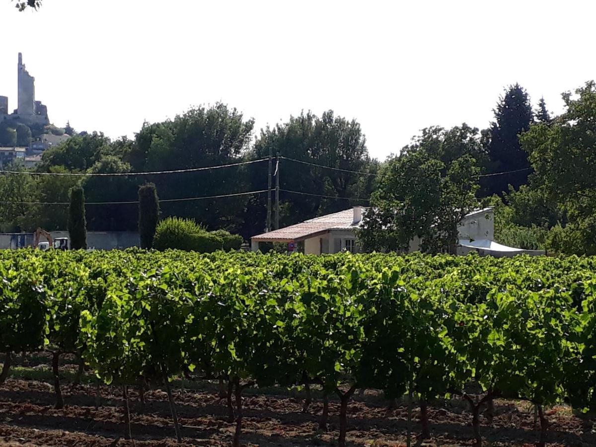 La Petite Maison Dans Les Vignes Chamaret Экстерьер фото
