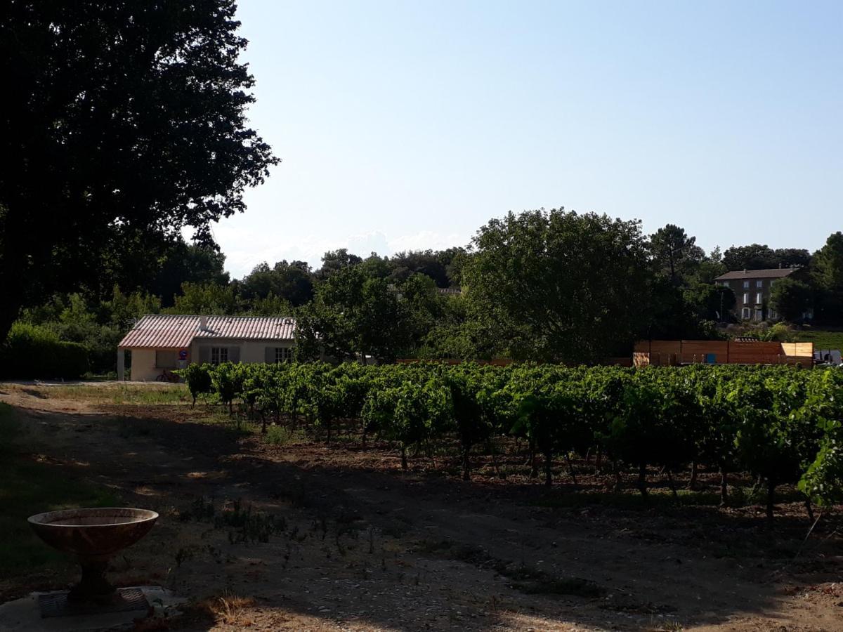 La Petite Maison Dans Les Vignes Chamaret Экстерьер фото